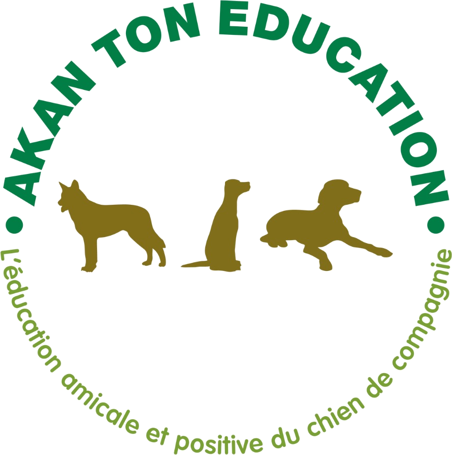 AKAN TON EDUCATION